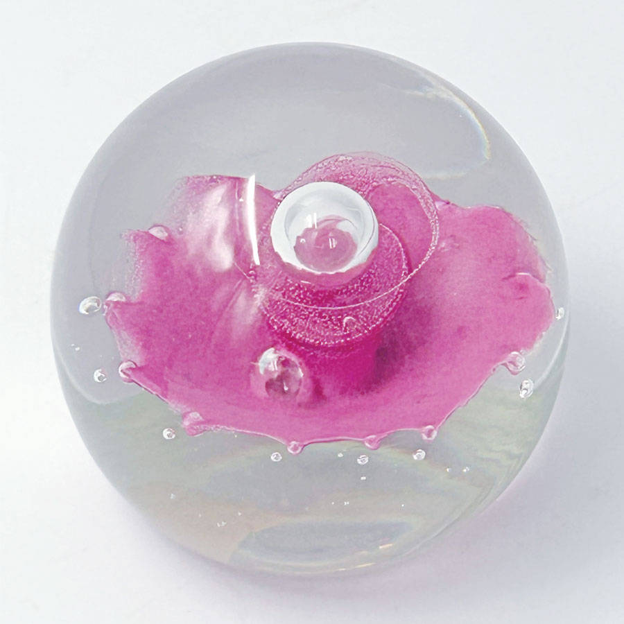 Caithness Scotland Floral Illusion Art Glass Paperweight LTD Edition
