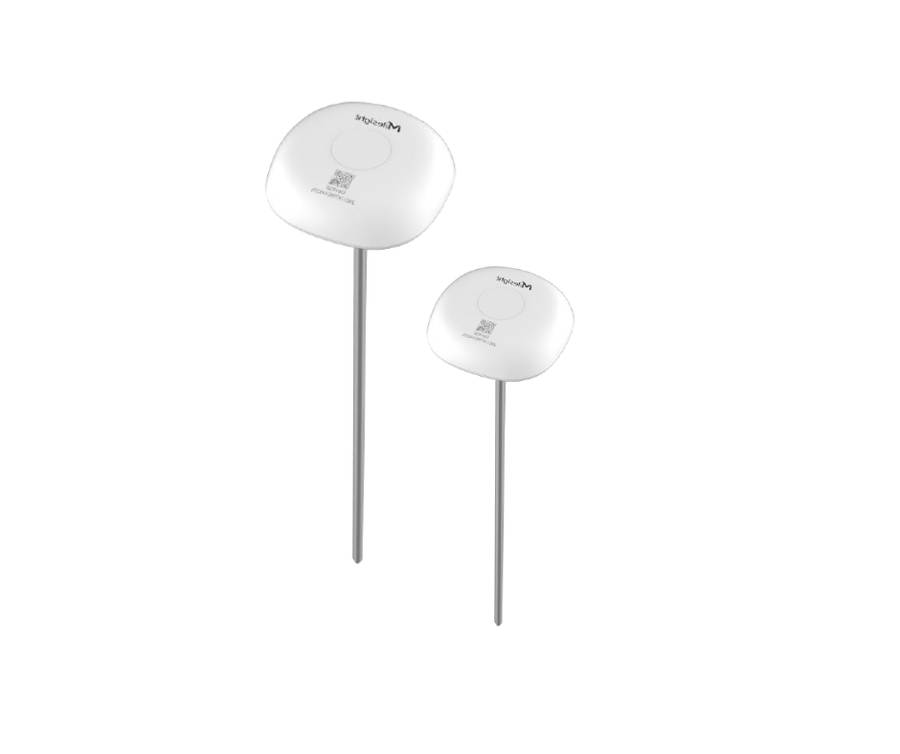 Milesight Insertion Temperature Sensor - 2 Pieces