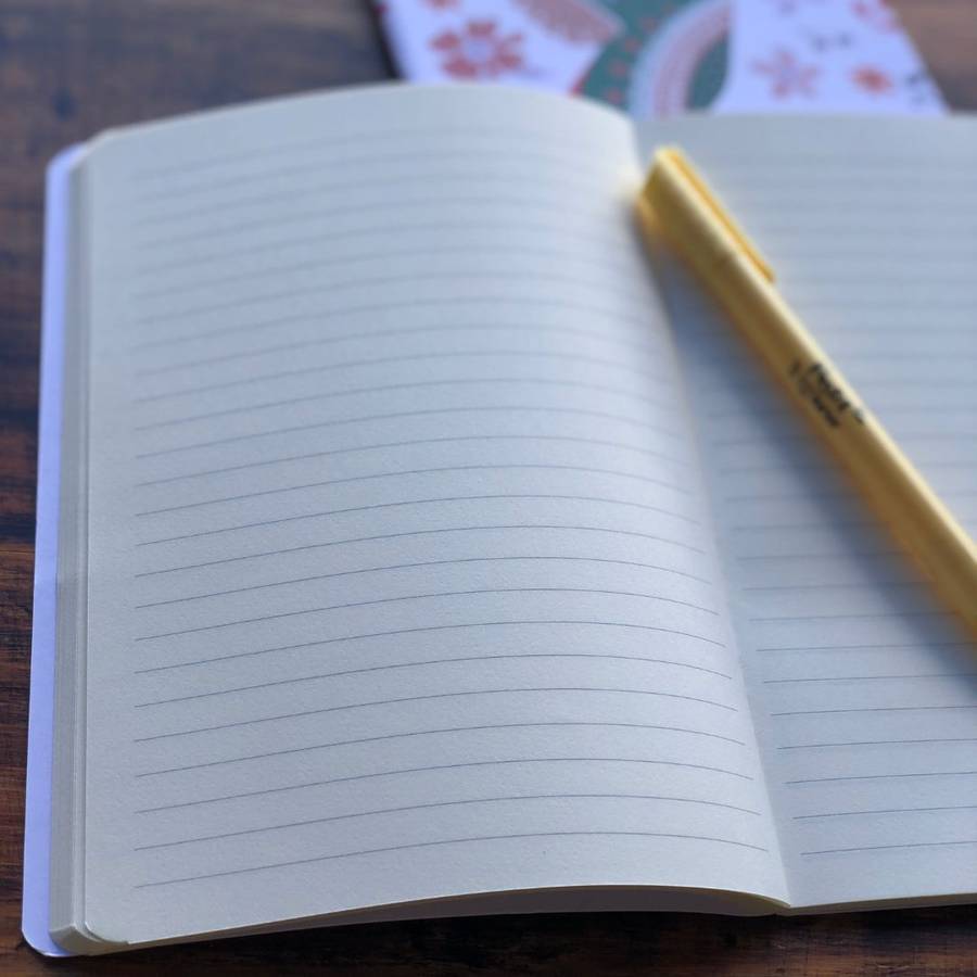 SPECIALTY JOURNALS - HUMMINGBIRD A5 NOTEBOOKS (3 PACK)