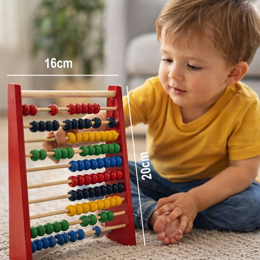 Abacus Wooden Small 100 Bead 5 Colour