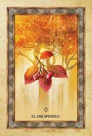 Celtic Tree Oracle - Sharlyn Hidalgo