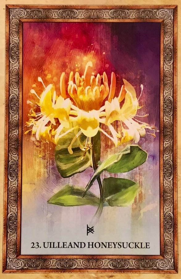 Celtic Tree Oracle - Sharlyn Hidalgo
