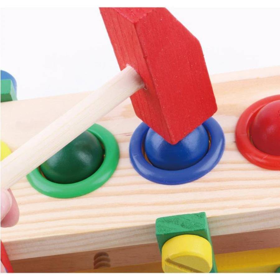 Montessori Educational Toy and Wooden Assembly Car