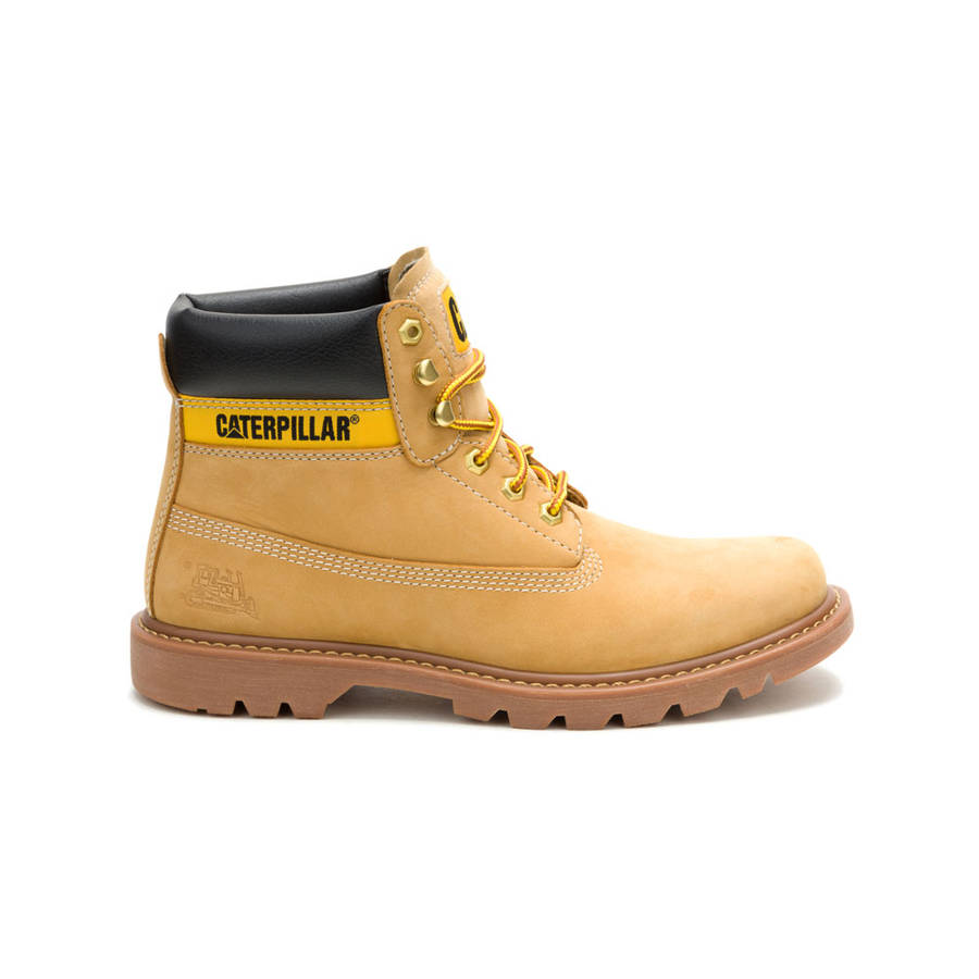 CAT Colorado 2.0 Tractor - Honey