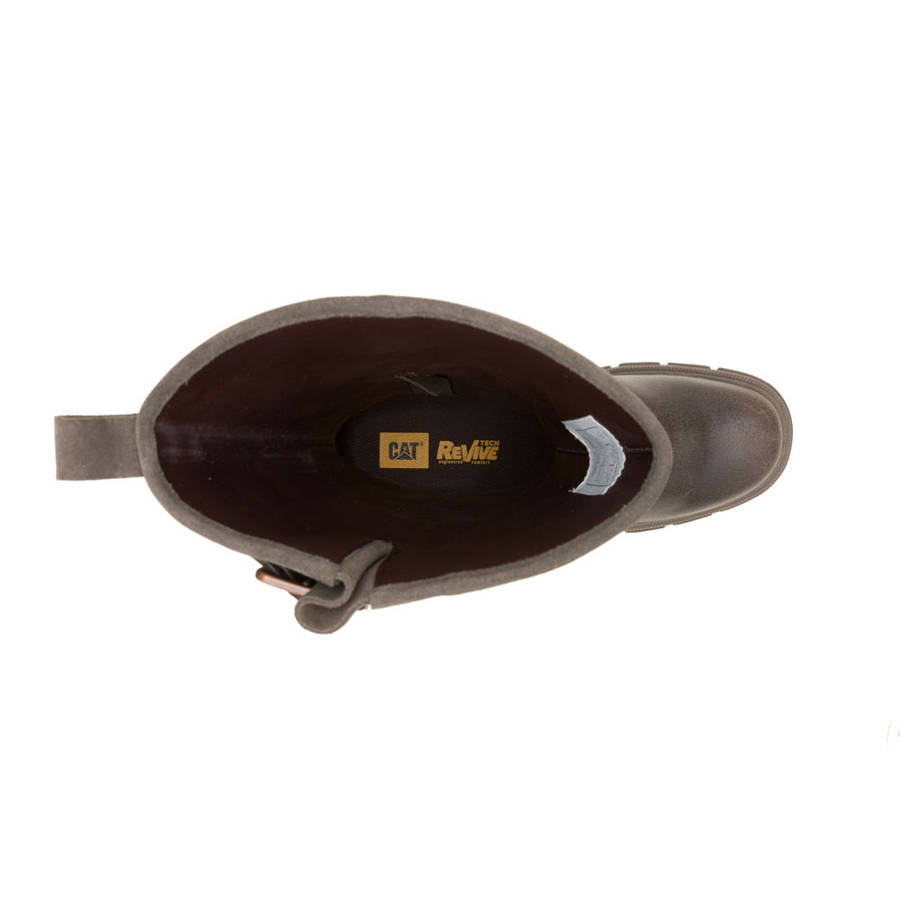 CAT Notion Buckle- Cub