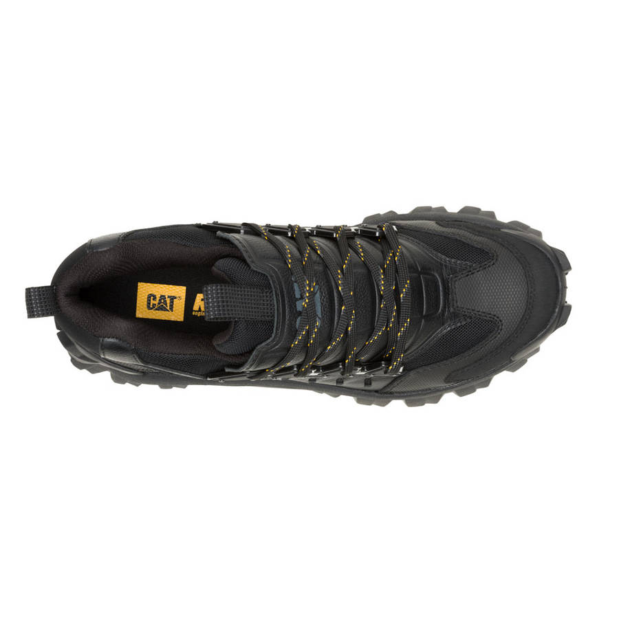 CAT Intruder Met- Black/Black