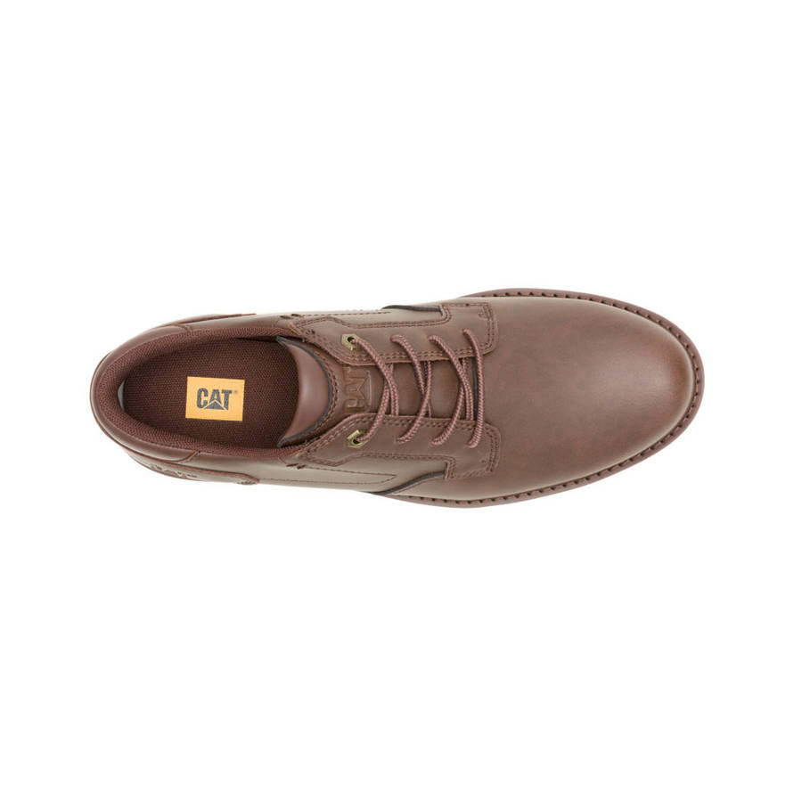 CAT Staten Lo- Dark Brown