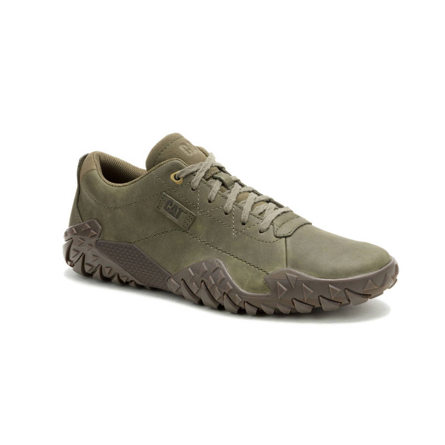 CAT Gridlock Lo- Olive Night
