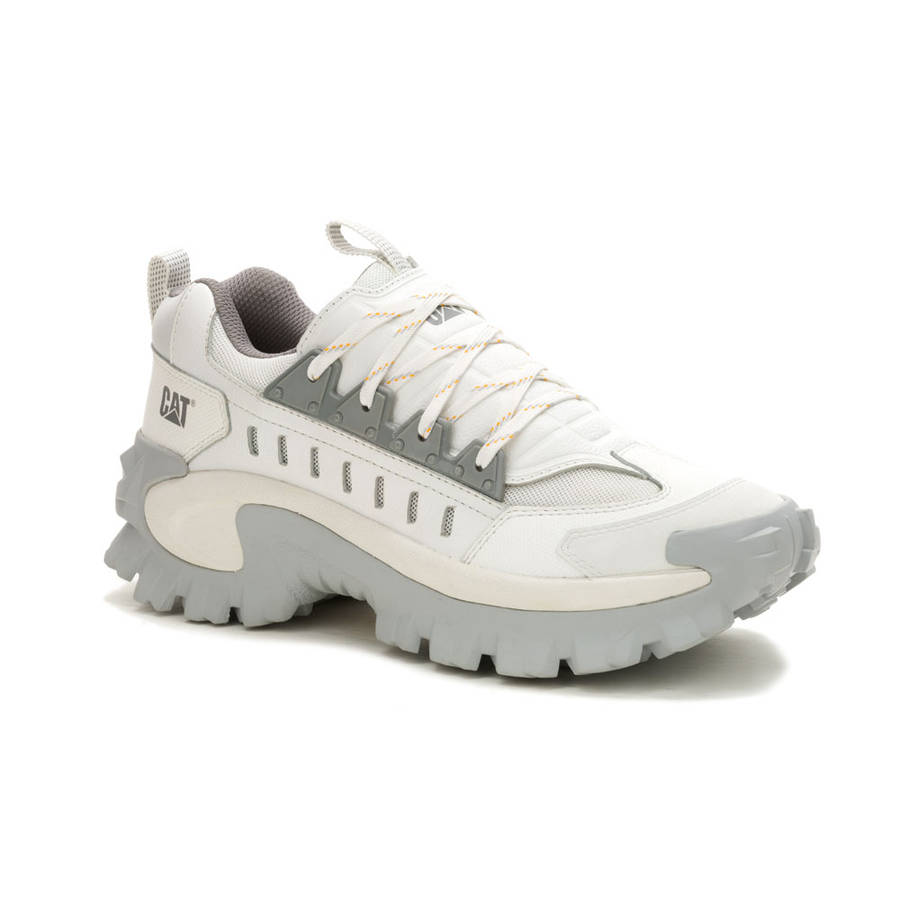 CAT Intruder Met- Bright White