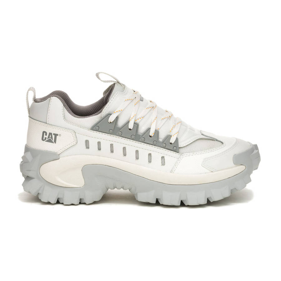 CAT Intruder Met- Bright White