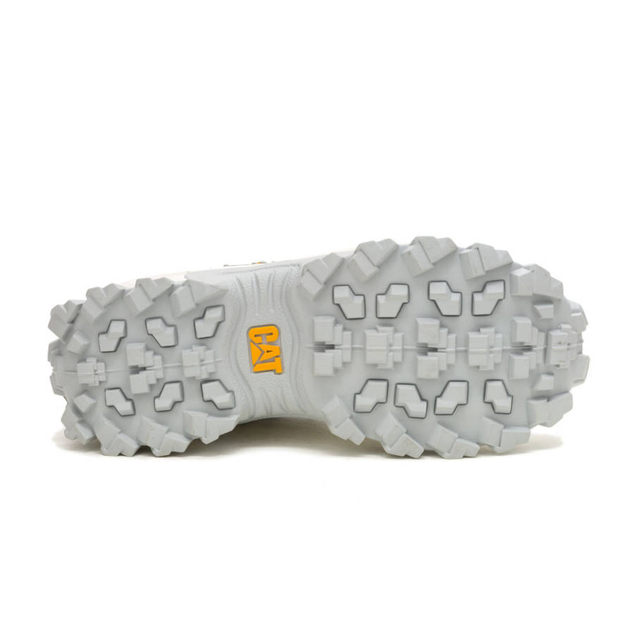 CAT Intruder Met- Bright White