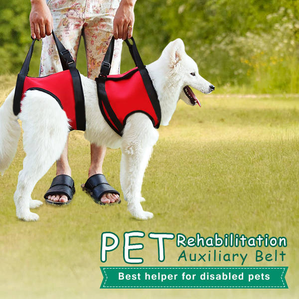 Pet Auxiliary Belt Dog Harness Carriers Assist Sling Portable Lift Security Sup