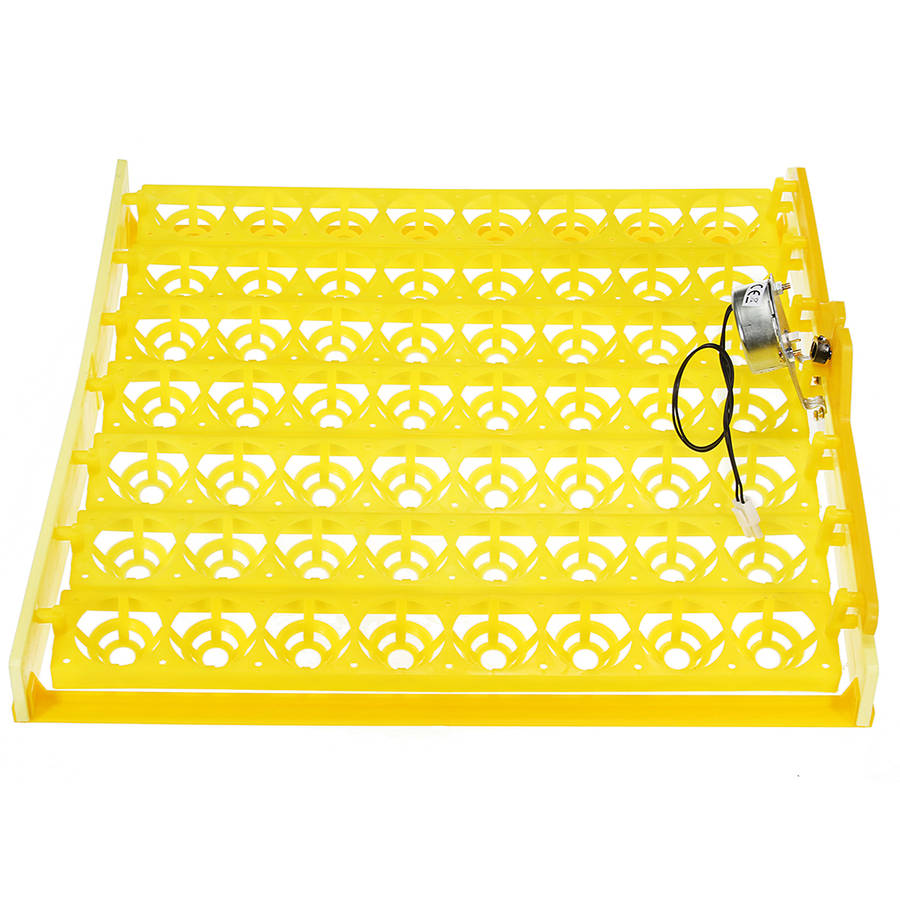 56 Incubator Automatic Eggs Turner Tray With Teching Equipment 220V Motor Farm