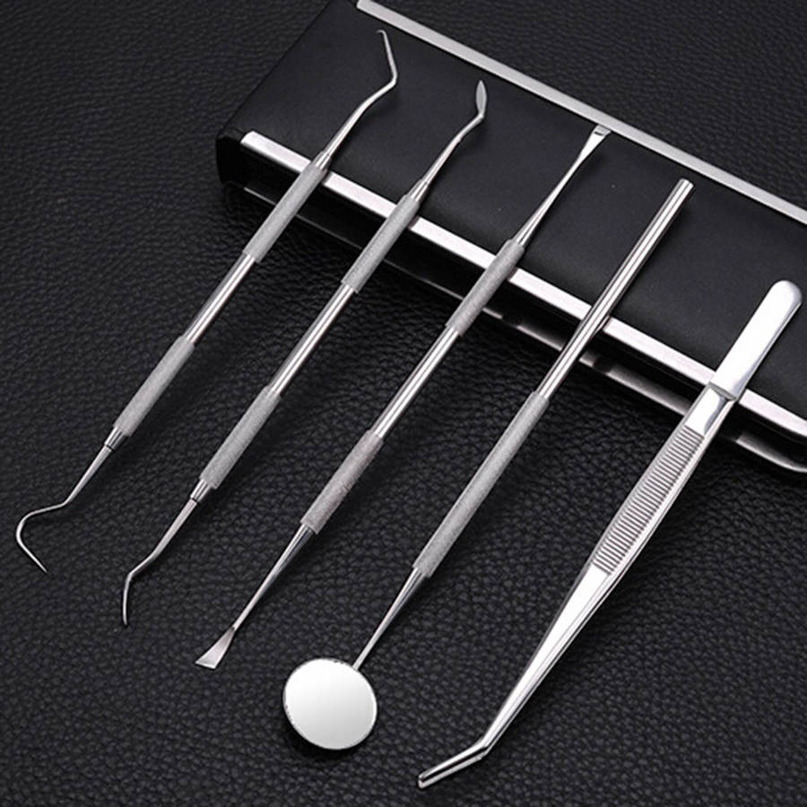 5pcs Handle Stainless Dental Tool Kit Dentist Teeth Clean Hygiene Picks Mirror