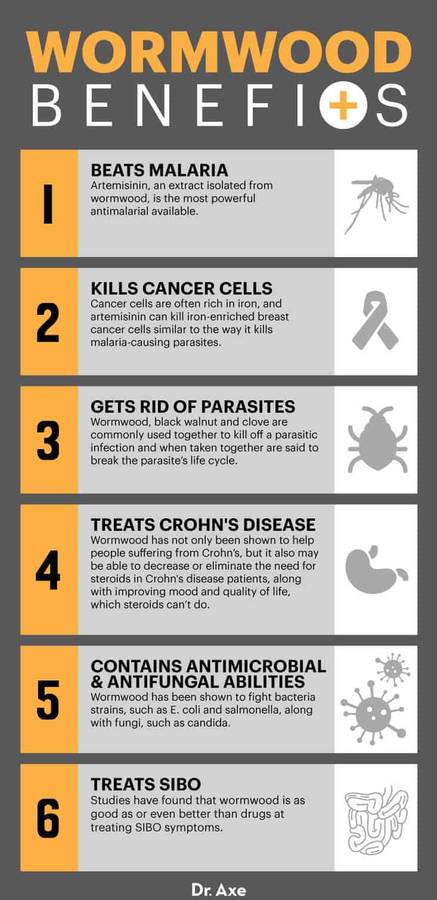 Wormwood benefits - Dr. Axe
