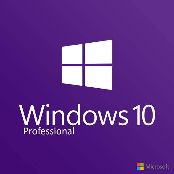 Image result for windows 10 pro logo"