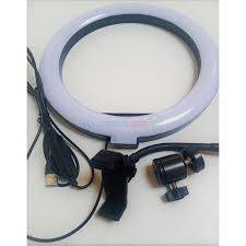 LED Beauty Supplement Light Ring Light (BIG) 8inch no stand