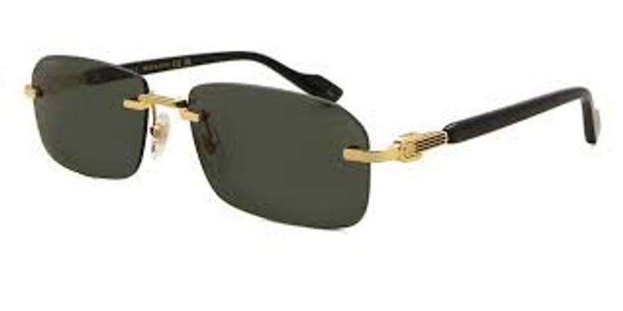 Gucci Gg1221s