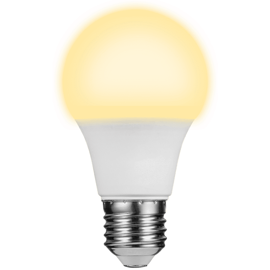 Switched 5w A60 Light Bulb E27 - Warm White