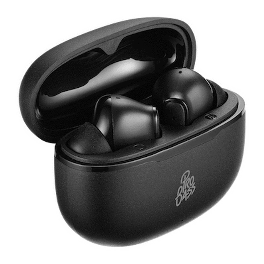 ProBass SubSonic TWS Earphone - Black