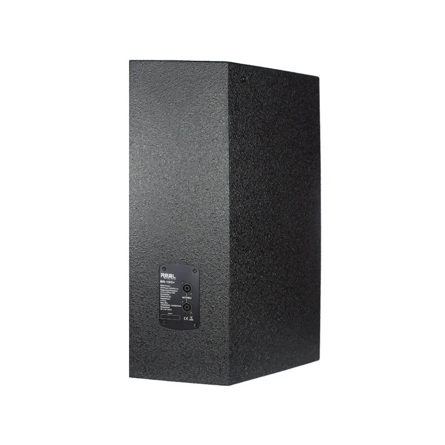 Real Sound MS-15/2+ Full Range Passive Speaker