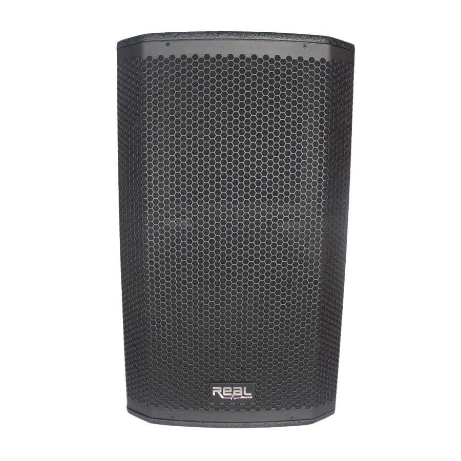 Real Sound MS-15/2+ Full Range Passive Speaker