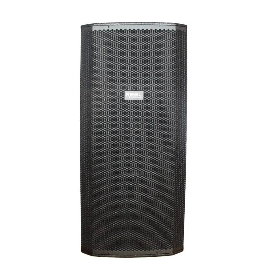 Real Sound MS-215/2+ 15 Dual Passive Speaker