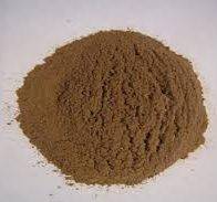 Cacao Extract Hydroglycolic