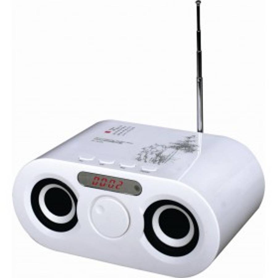 FM Radio / Speaker