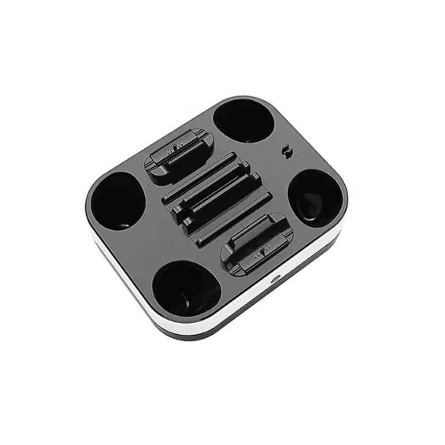 PS5 Controller Dual Charging Dock (Generic)