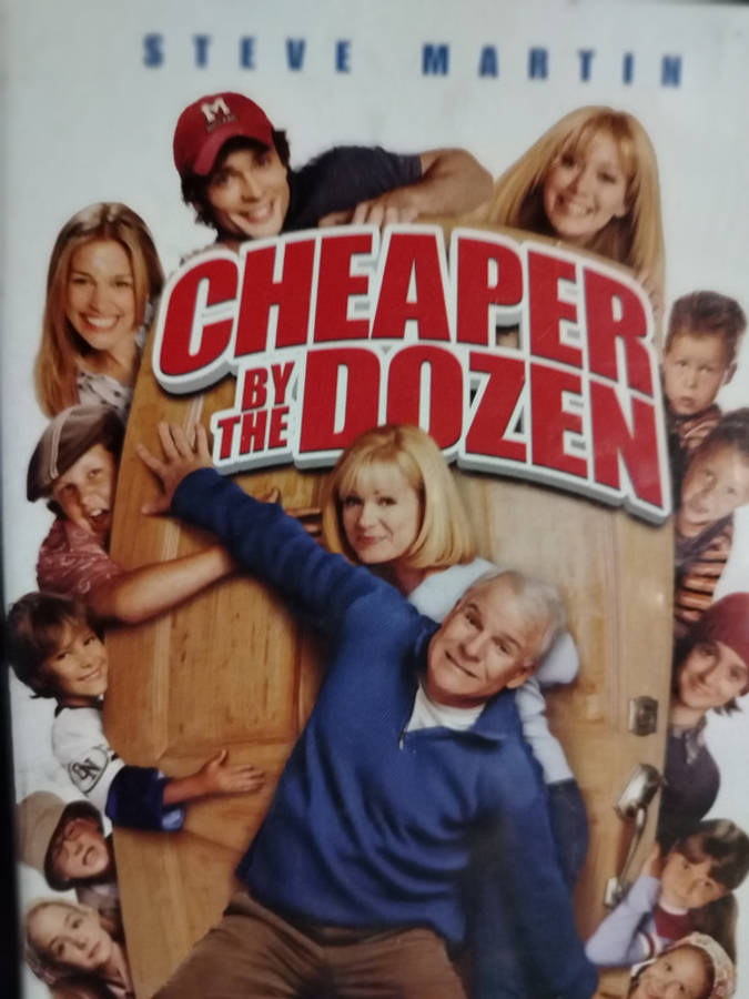 Cheaper by the Dozen : Shawn Levy : Family / Comedy : DVD