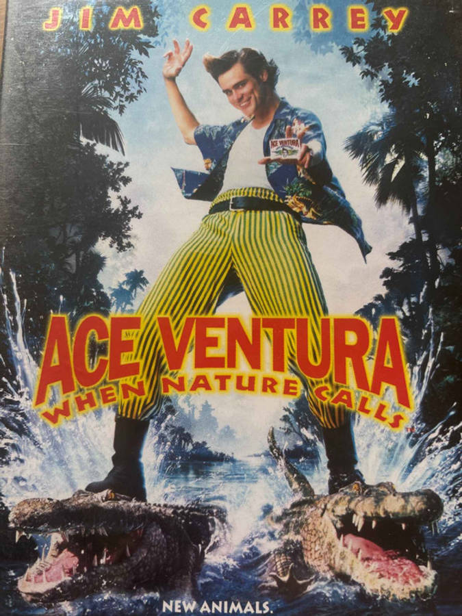 Ace Ventura : When Nature Calls : Steve Oedekerk : Comedy : DVD