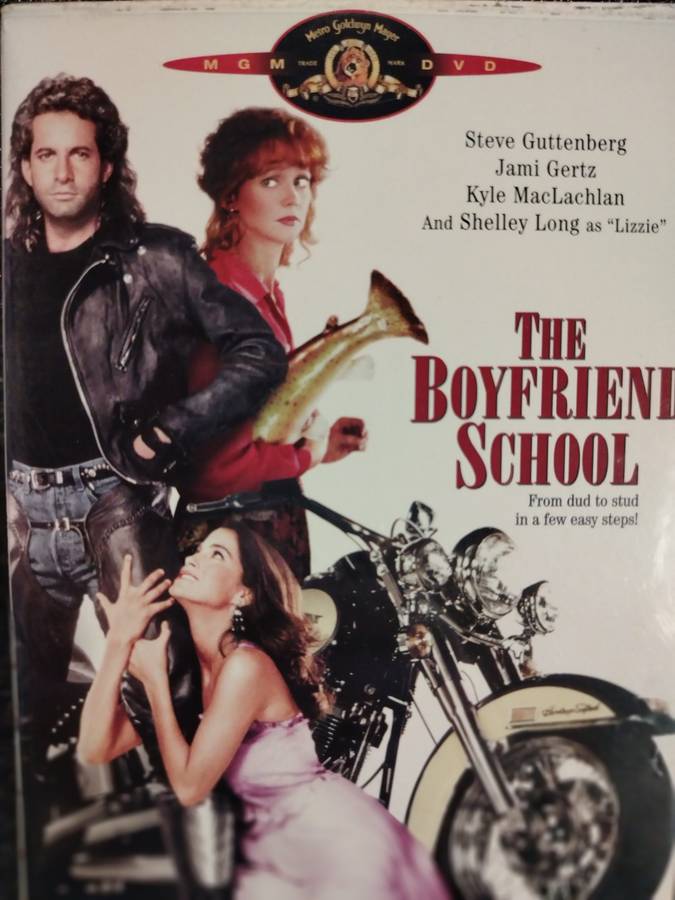 The Boyfriend School : Comedy/Romance : DVD