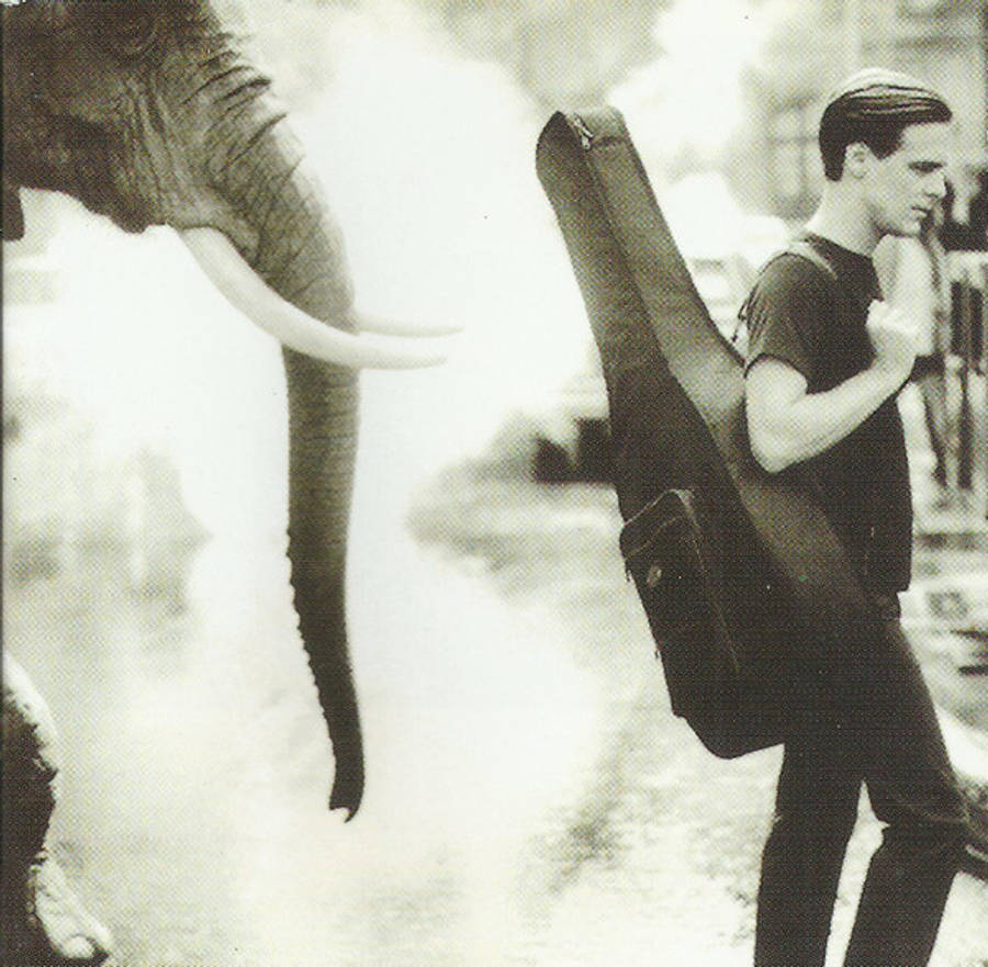 Bryan Adams : On A Day Like Today : CD