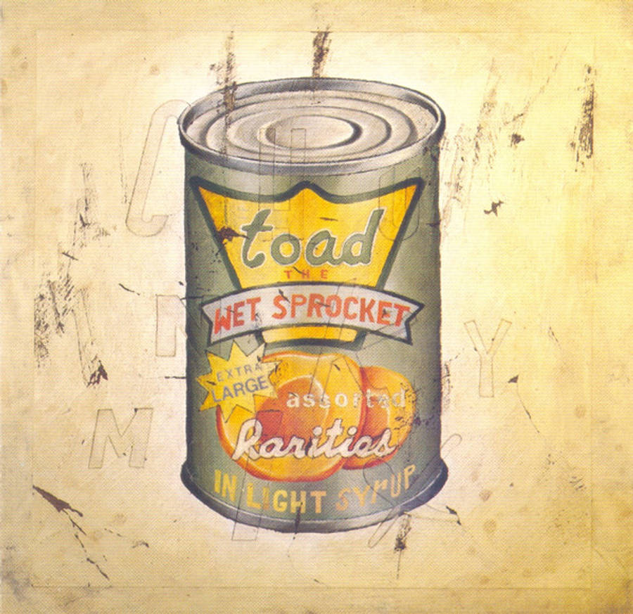 Toad the Wet Sprocket : In Light Syrup : CD