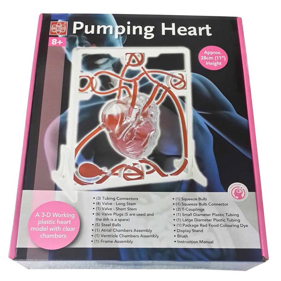 Edu-Toys - Pumping Heart