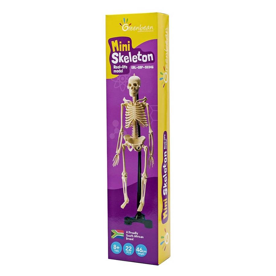 Greenbean - Mini Skeleton