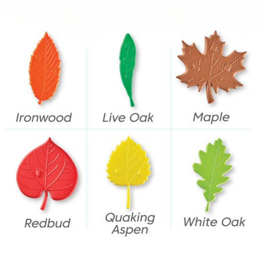 Hand2Mind - Sensory Leaves Math Activity Set