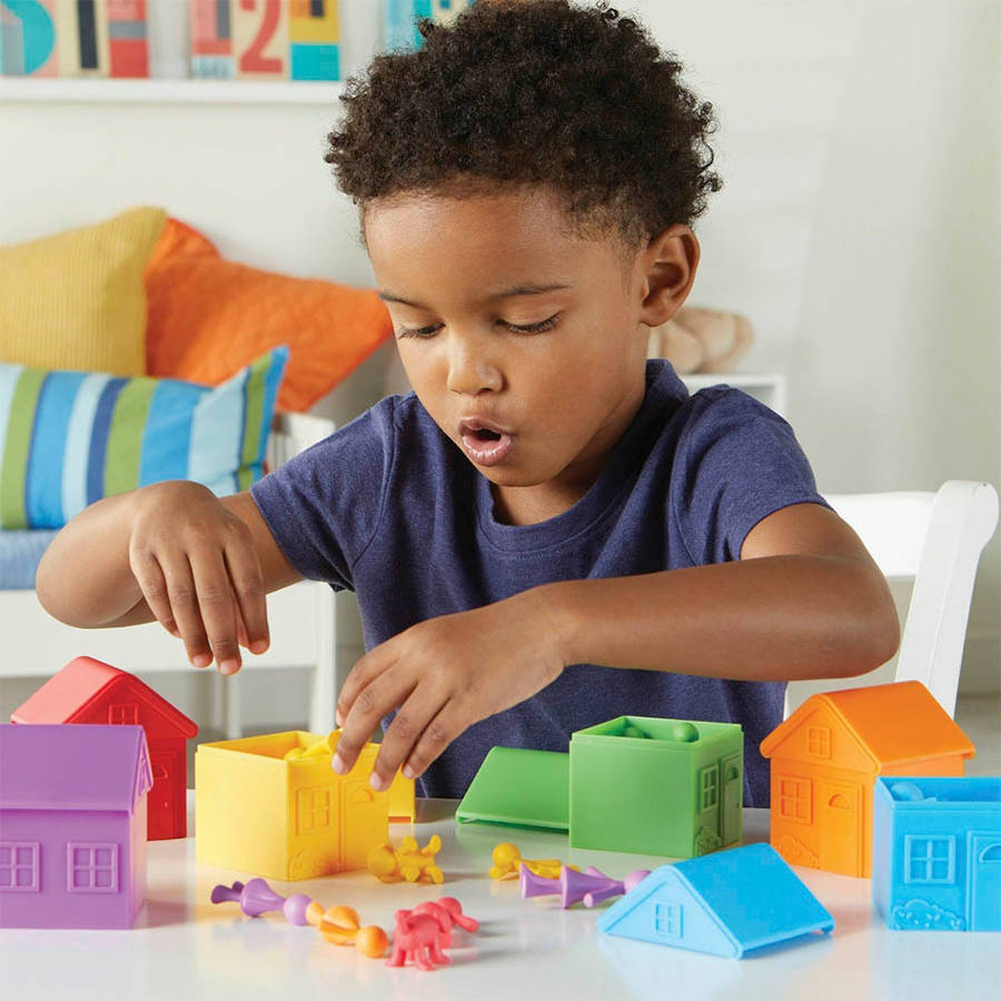 Learning Resources - All About Me Sorting Neighbourhood Set