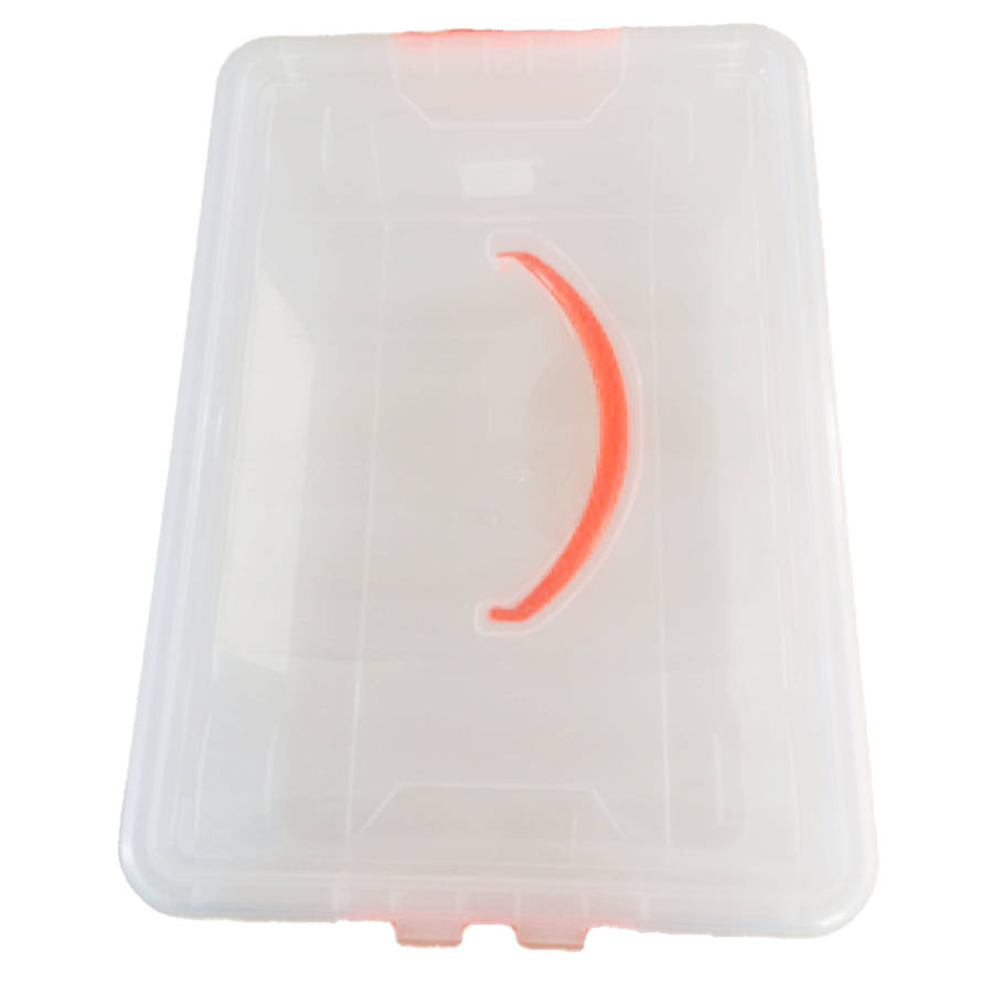 Greenbean - Plastic Container (M) w lock 41 x 28 x 14.5cm