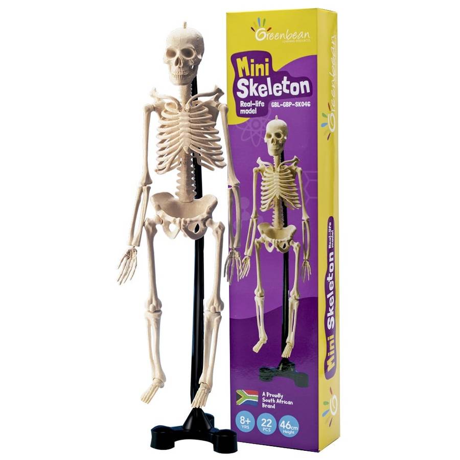 Greenbean - Mini Skeleton
