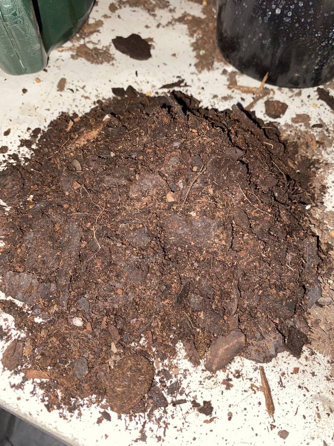 Indoor Potting Soil 1 - 3 kg Bags | Indoor Plants |