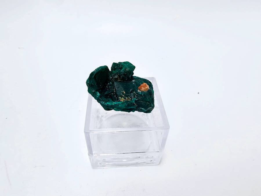 Dioptase Specimen V (5.2g)