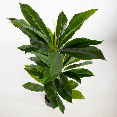 Artificial Dracaena Houseplant and Pot Plant (125cm)