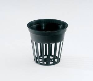 50ml Net Pot