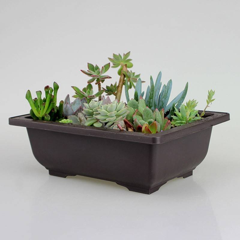 Large Size Flower Pot Rectangle Bonsai Nursery Balcony Garden Container