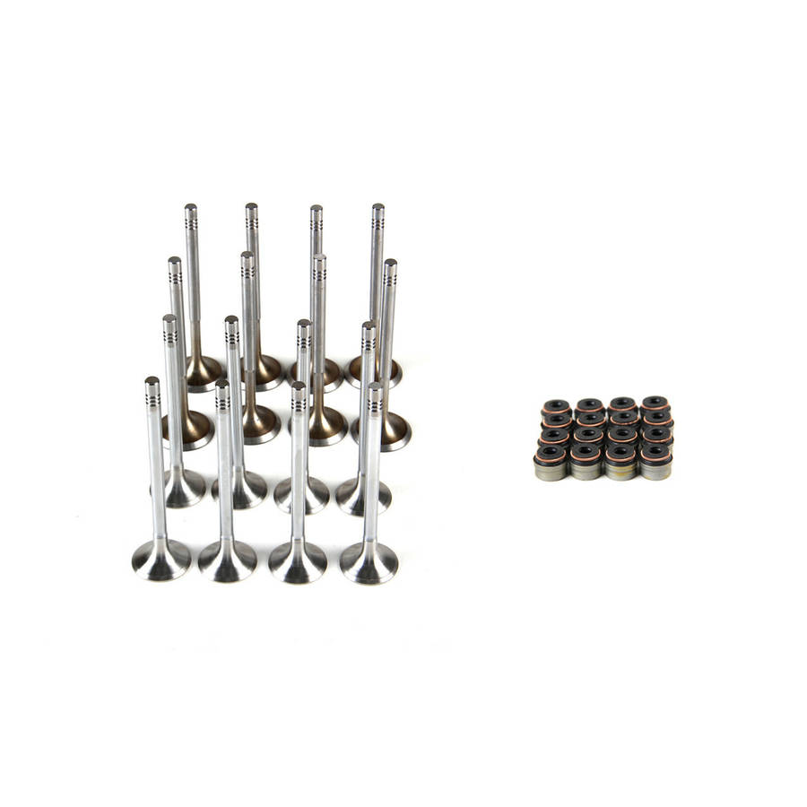 Valve stem seals and Intake&Exhaust Valves For VW Golf Jetta Tiguan Audi A1 A3