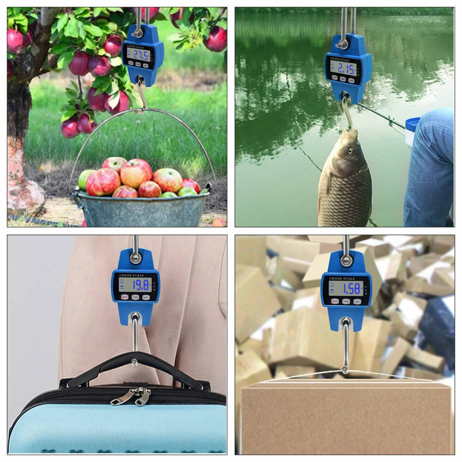 300kg Portable Mini Crane Hanging Scale