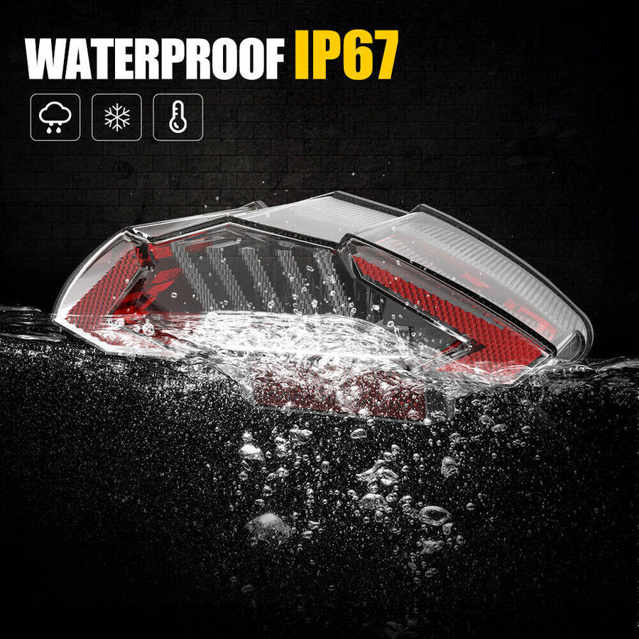 For BMW R1200 GS ADV /F650 GS Dakar F800 R/S/ST LED taillight Smoke Integrated