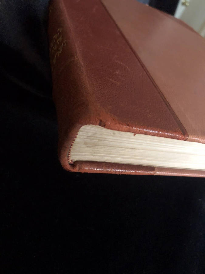 Modern Beauty Culture (1933) (half leather binding)